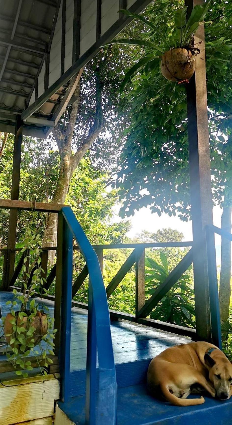 Rasta View Bangalows Ko Čang Exteriér fotografie